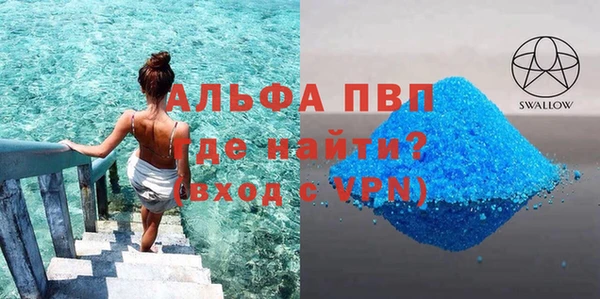 стаф Вяземский