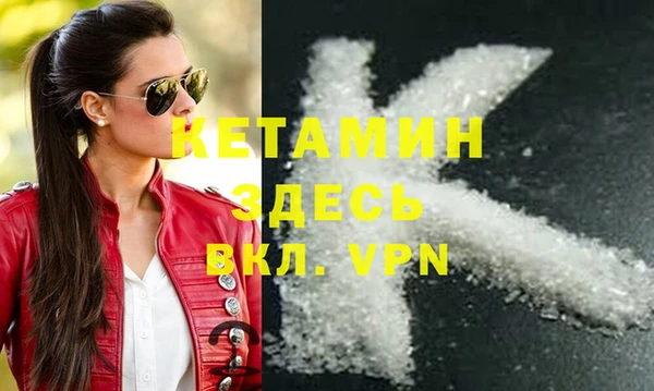 стаф Вяземский