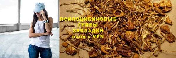 стаф Вяземский