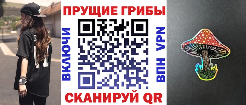 купить наркотик  Ирбит  дарк нет формула  Галлюциногенные грибы мухоморы 